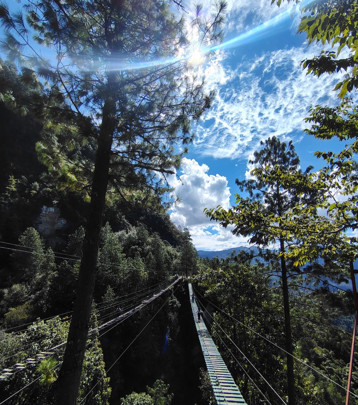 Solo Transporte: Aventura en San José del Pacífico